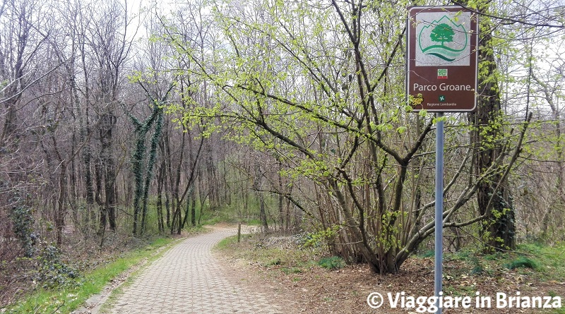 La salita della pista ciclabile 27 del Parco delle Groane