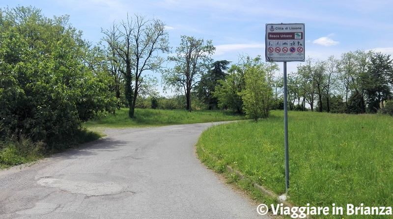 Il Bosco Urbano di Lissone, l'ingresso da via Bottego