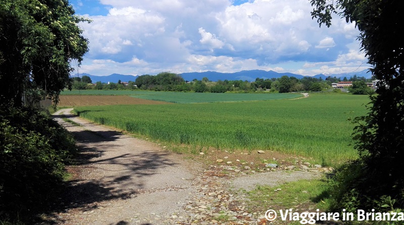 Lentate, il Parco delle Groane e la pista ciclabile