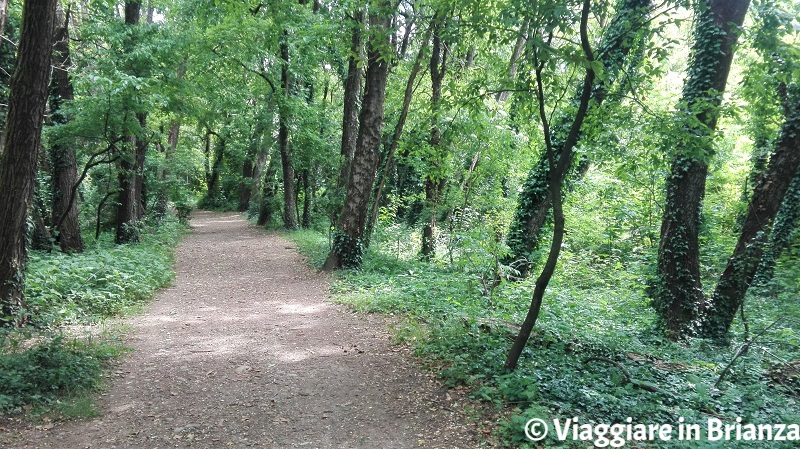 Lissone, il Bosco Urbano