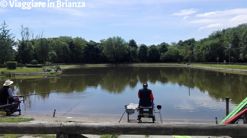 Pescare al Laghetto di Lissone nel Bosco Urbano