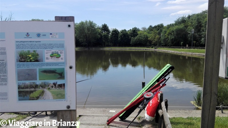 Pescare al Laghetto di Lissone