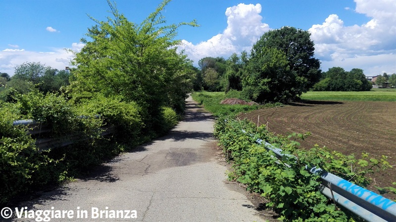 La pista ciclabile del Parco delle Groane a Lentate