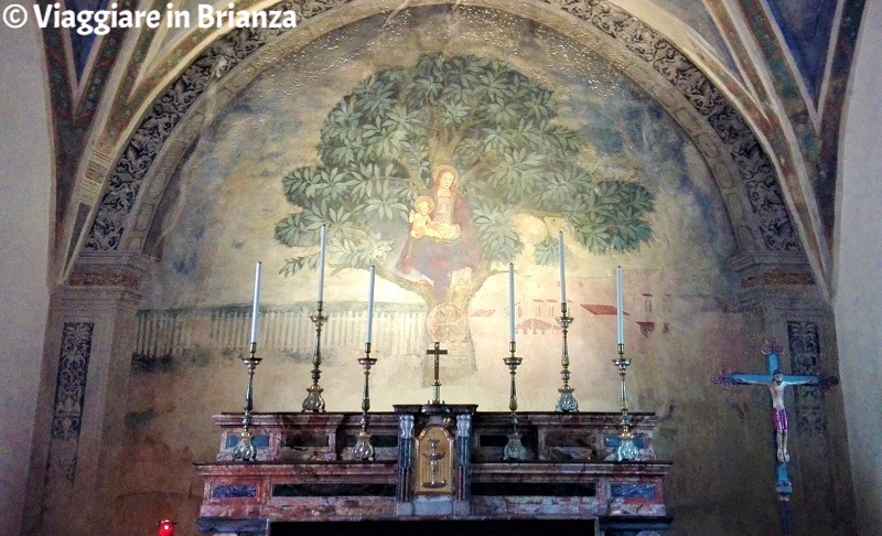 L'affresco della Madonna dell'Albero di Carimate