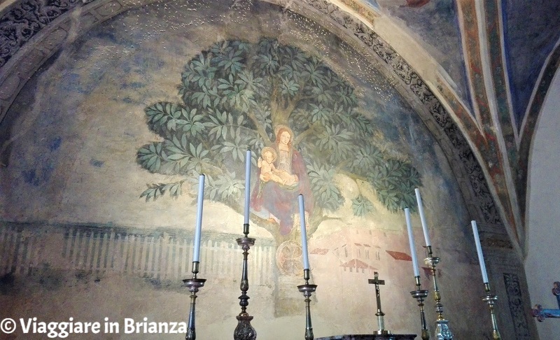 L'affresco del Santuario della Madonna dell'Albero