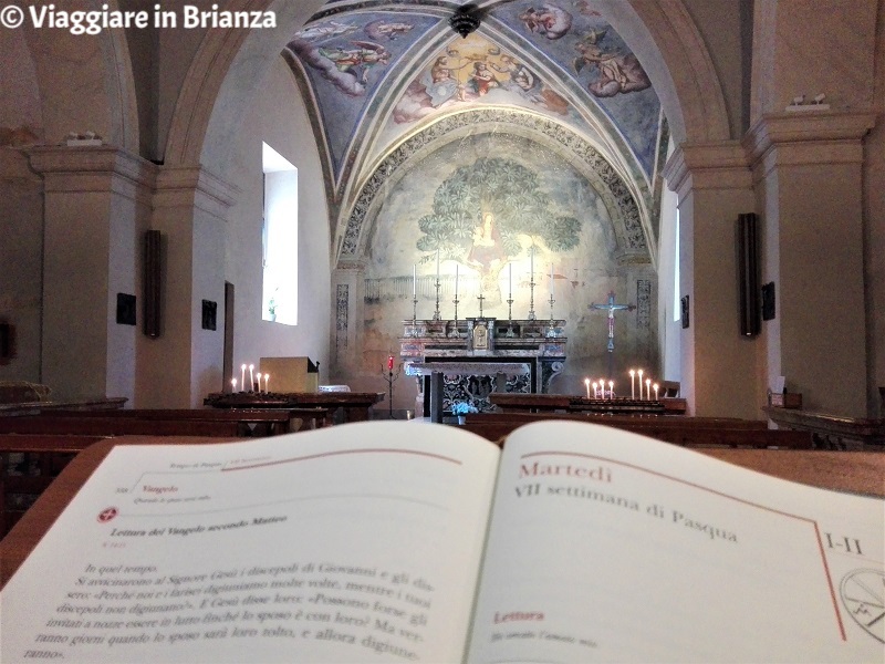 Carimate, il Santuario della Madonna dell'Albero