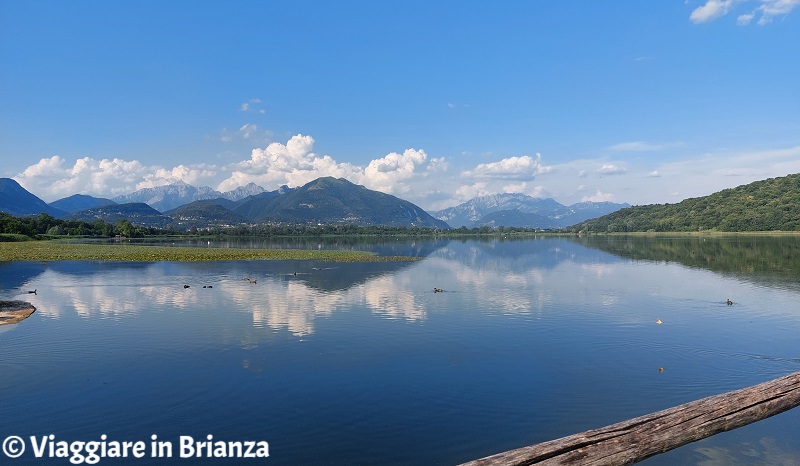 Cosa fare ad Alserio, il lago