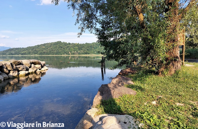 I giardini a lago di Alserio