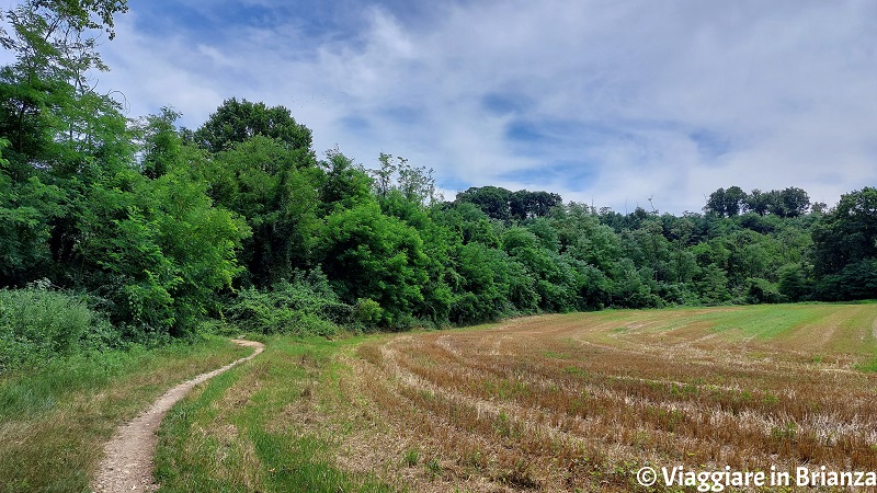 Il percorso da Rancate alla Valle della Brovada