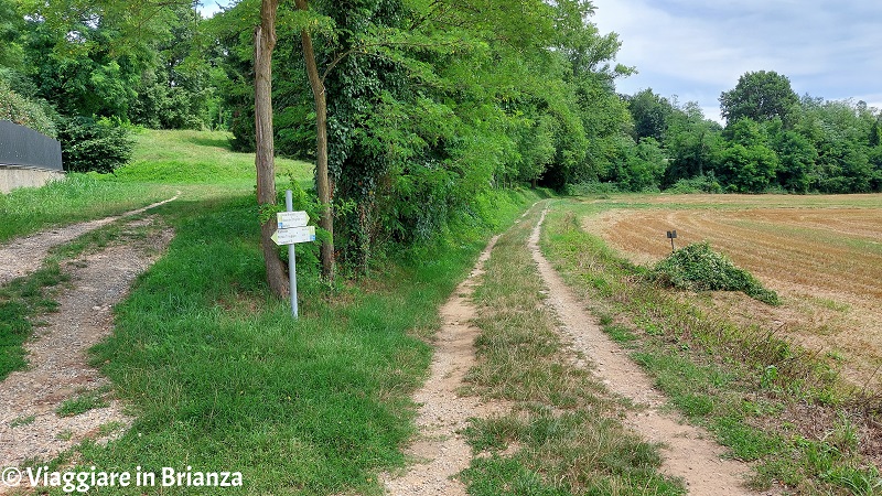 Il sentiero da Rancate alla Valle della Brovada