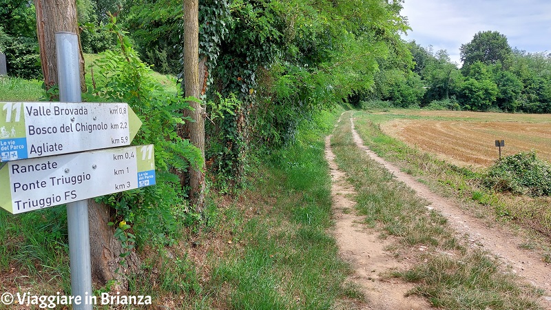 Lo sterrato da Rancate alla Valle della Brovada