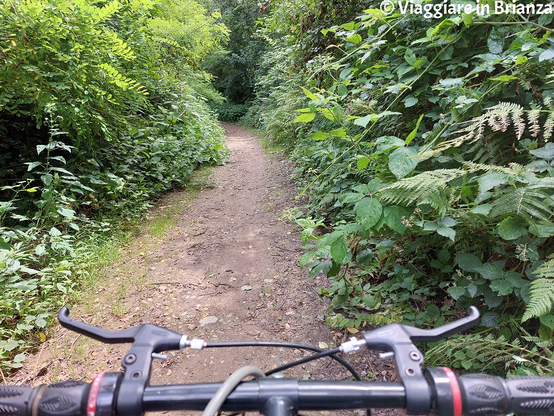 La Valle della Brovada in bici