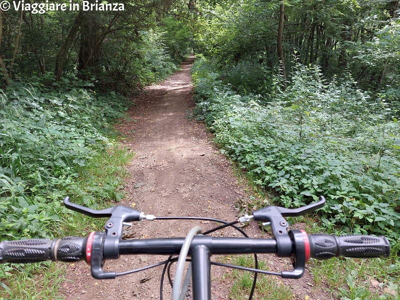 La Valle della Brovada in mountain bike