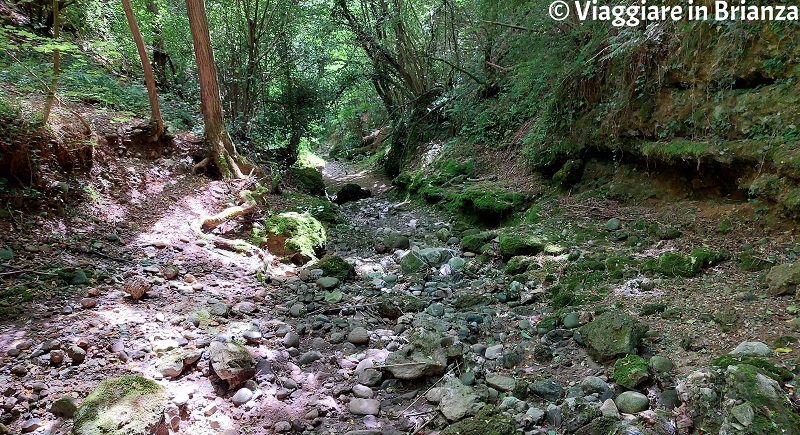 La valle del rio Brovada