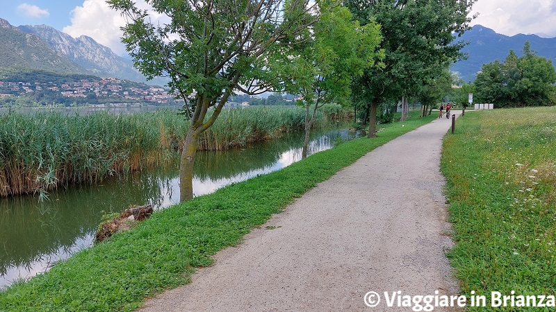 Piste ciclabili in Brianza, il lago di Annone