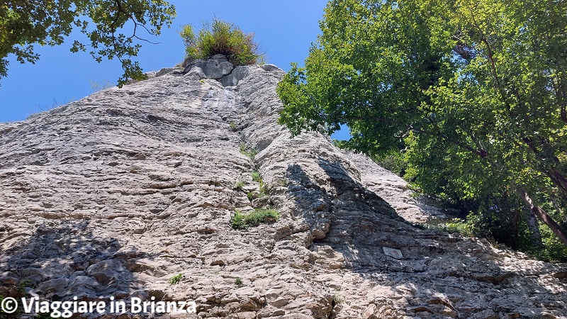 Il Sasso d'Erba