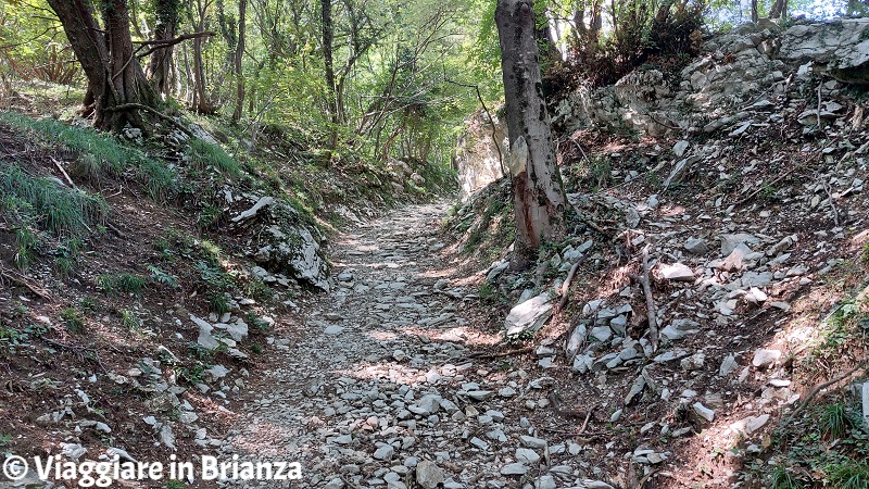 Il sentiero per la Croce Pessina a Erba sul Monte Panigas