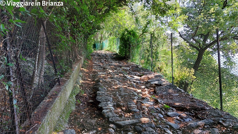 Il sentiero per la Croce Pessina a Erba