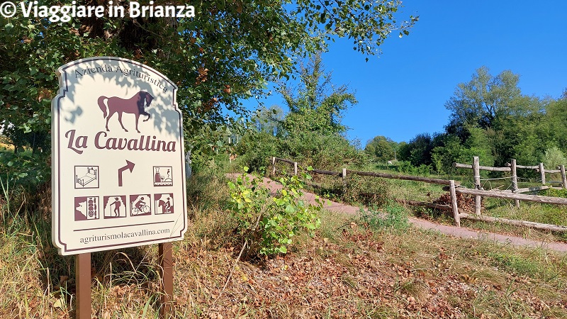 Cosa fare a Monguzzo, l'Agriturismo La Cavallina