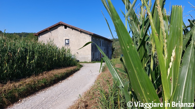 Campo Marzo a Costa Masnaga