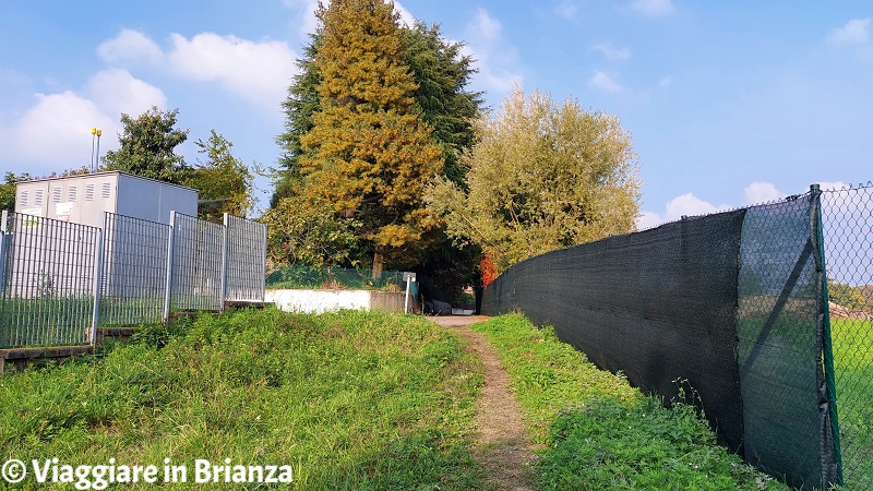 Cantù, il sentiero 10 del Parco della Brughiera Briantea