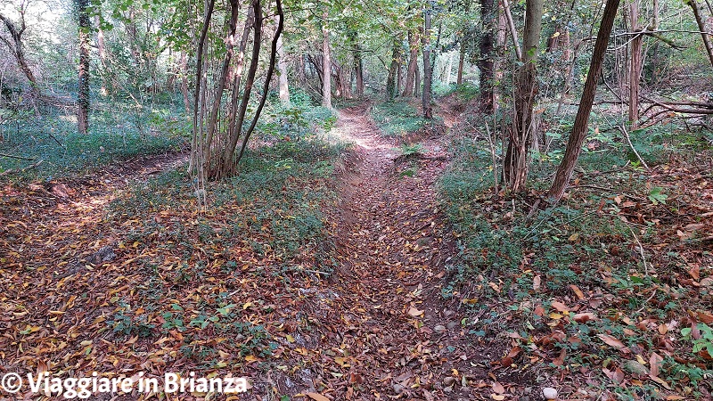 Parco della Brughiera Briantea, il percorso 10