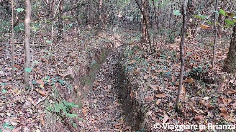 Il percorso del Parco della Brughiera 10