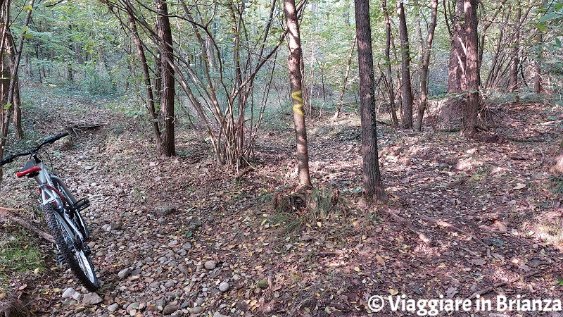 Segnali sul sentiero 10 del Parco della Brughiera Briantea