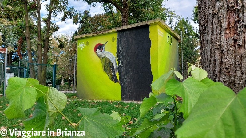 Lombardia, i murales di Vincenzo Magno a Cermenate