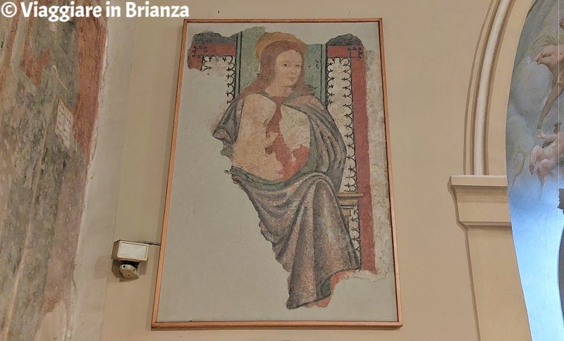 La Madonna in trono del Santuario di Cesano Maderno