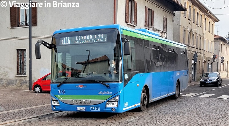 Autobus Z116