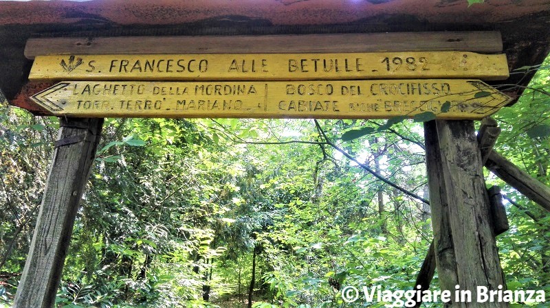 Il Bosco di San Francesco alle Betulle nel Parco della Brughiera