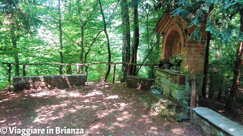 Il bosco di San Francesco a Cabiate nel Parco della Brughiera