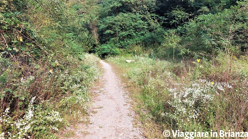 Passeggiata sul Sentiero della Valle Ferranda