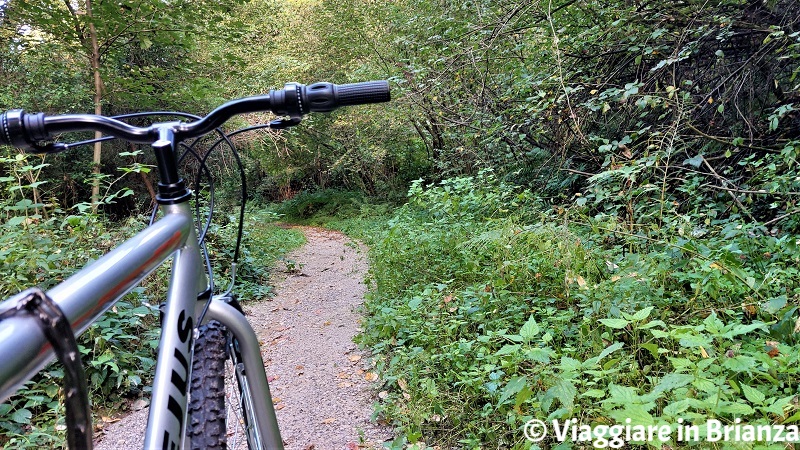 Il Sentiero della Valle Ferranda in bicicletta