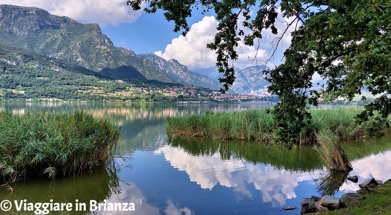 Annone di Brianza: pesca al lago di Annone