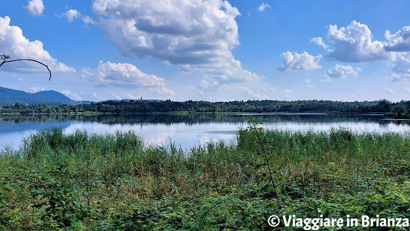 Pescare al lago di Annone a Civate