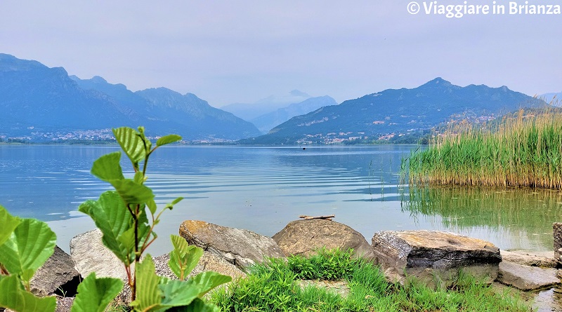 Pescare al lago di Annone: il regolamento