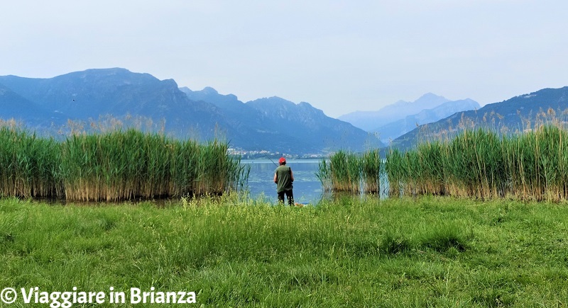 Pescare al lago di Annone