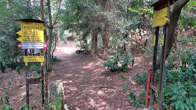 Bosco del Crocifisso a Cabiate nel Parco della Brughiera