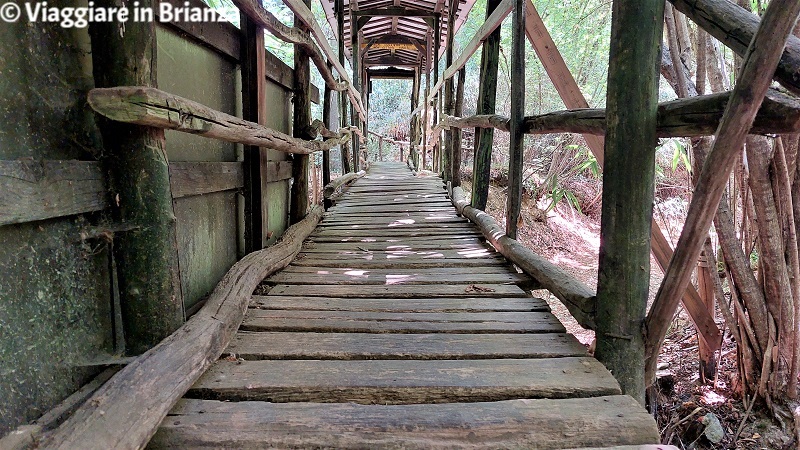 Cabiate: Ponte degli Anemoni nel Parco della Brughiera