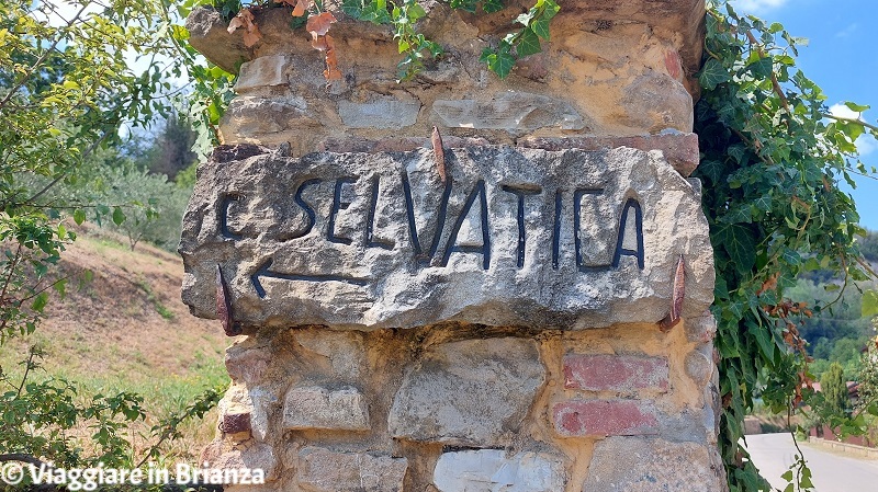 Cascina Selvatica a Missaglia