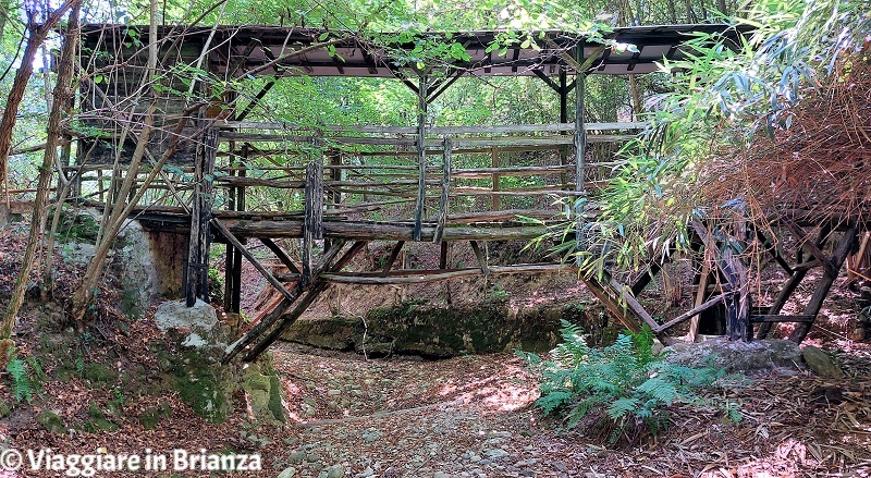 Il Ponte degli Anemoni a Cabiate