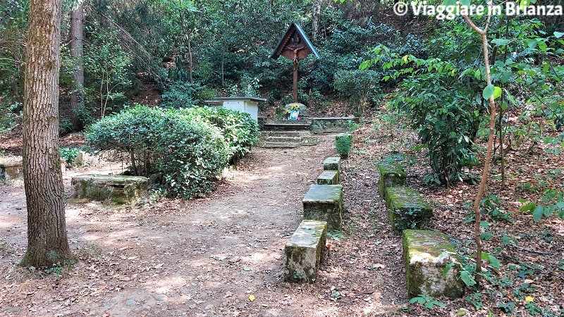 Sentiero 4: Bosco del Crocifisso a Cabiate