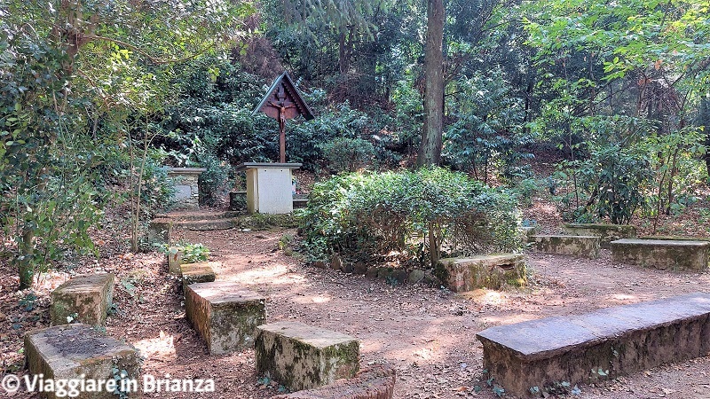 Sentiero 4: il Bosco del Crocifisso nel Parco delle Groane