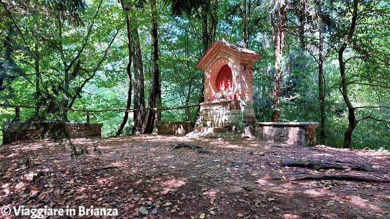 Sentiero 4: il Bosco di San Francesco