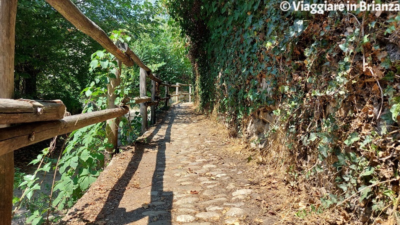 Sentiero 4 a Cabiate nel Parco della Brughiera