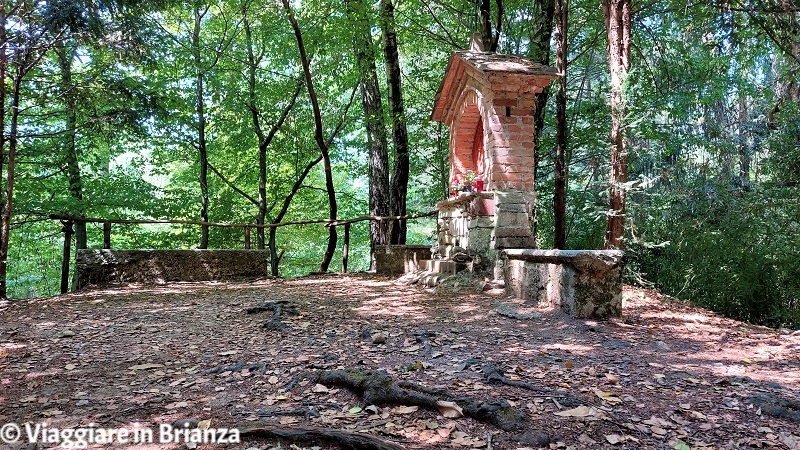 Sentiero 4 a Cabiate: San Francesco