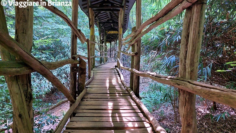 Sentiero 4: la passerella del Ponte della Marca