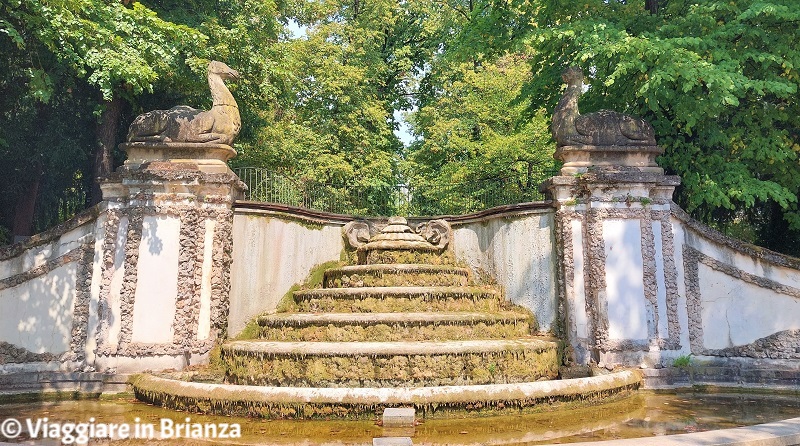 La Fontana dei Dromedari nel cesto